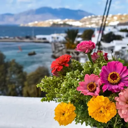 Apartamento Francesca Ii