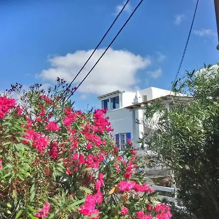 アパート Francesca Ii Mykonos Town