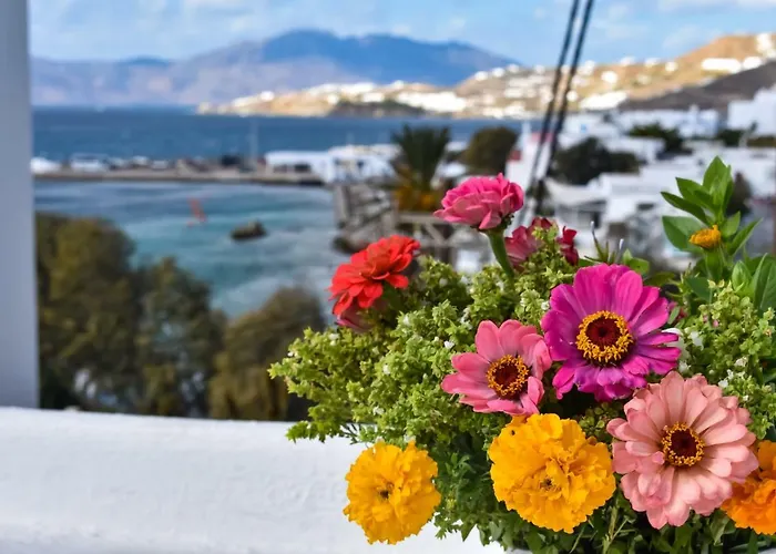 公寓 弗朗西斯二世别墅酒店