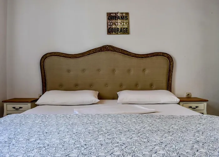 公寓 弗朗西斯二世别墅酒店 *