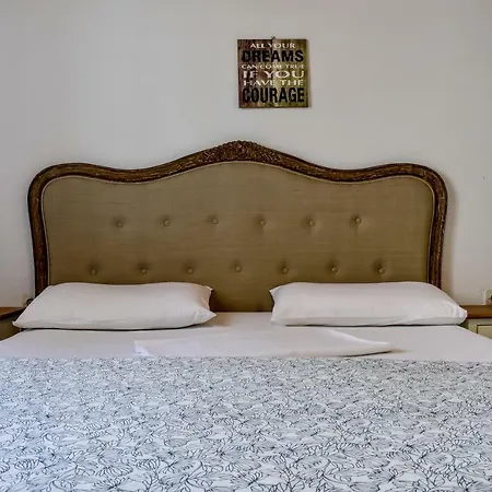 公寓 弗朗西斯二世别墅酒店 *